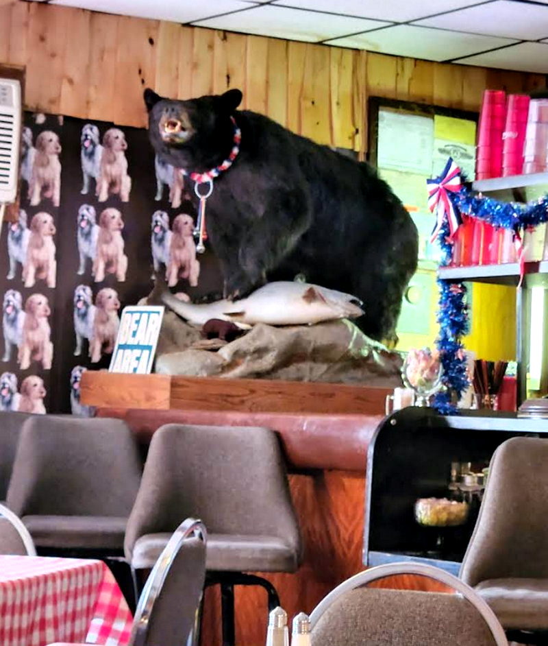 Oscar & Joeys Roadhouse (Chandlers) - From Web Listing For Oscar And Joeys (newer photo)